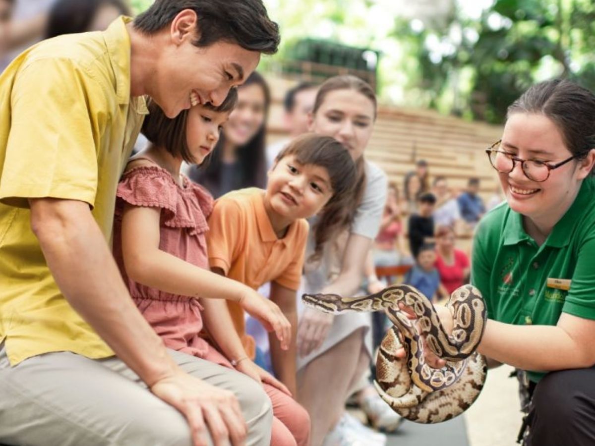 Singapore Zoo guide - Into the Wild - Mandai Wildlife Reserve