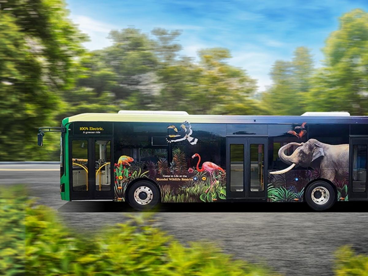 Singapore Zoo guide - shuttle bus - Mandai Wildlife Reserve