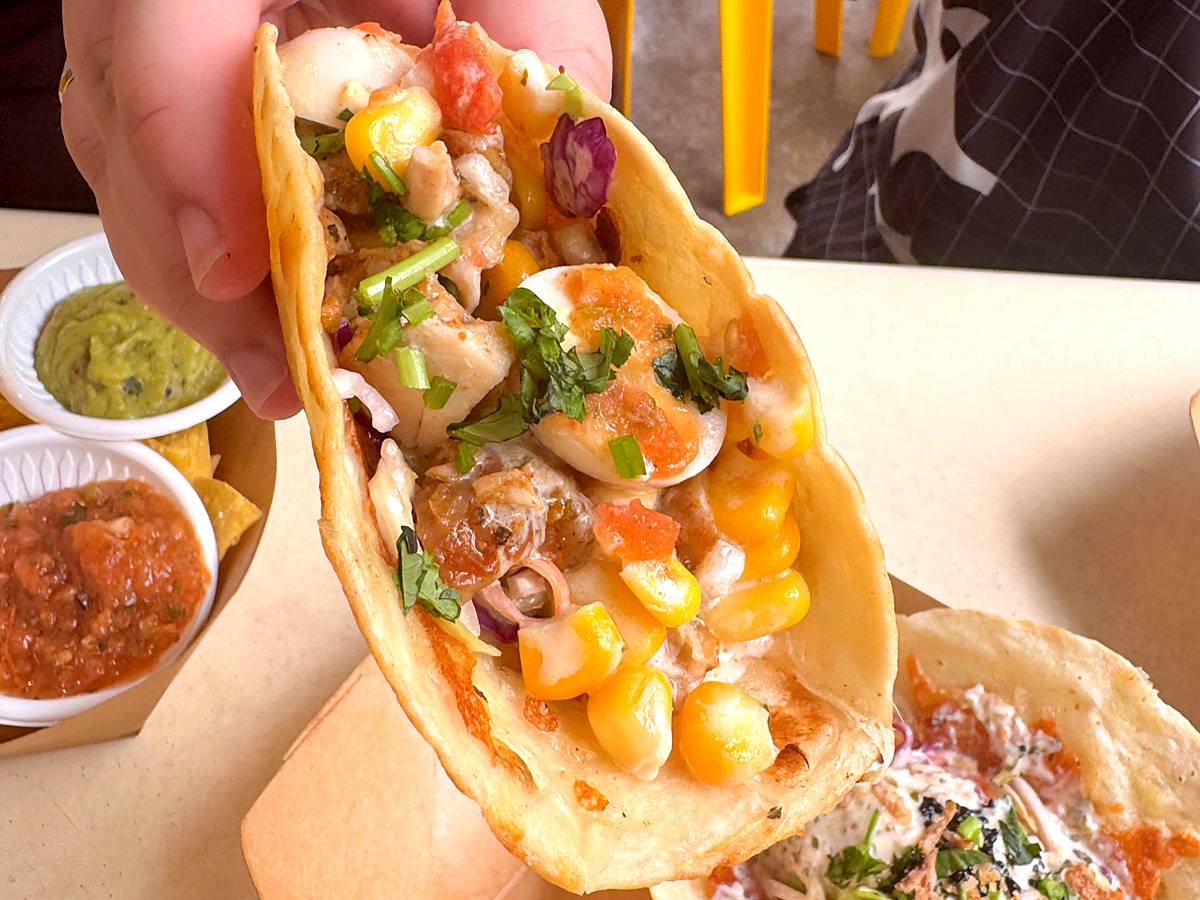The Daily Fiesta - Cajun Chicken Taco