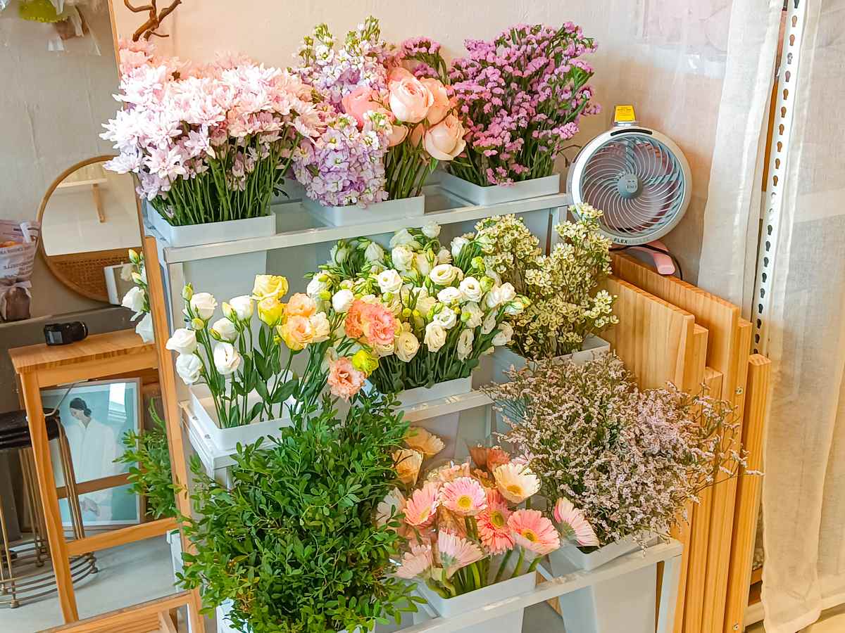 Coliwoo_Bukit_Timah_FS_- Flowers