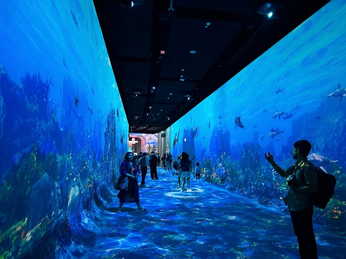 Singapore Oceanarium guide - A New Horizon corridor