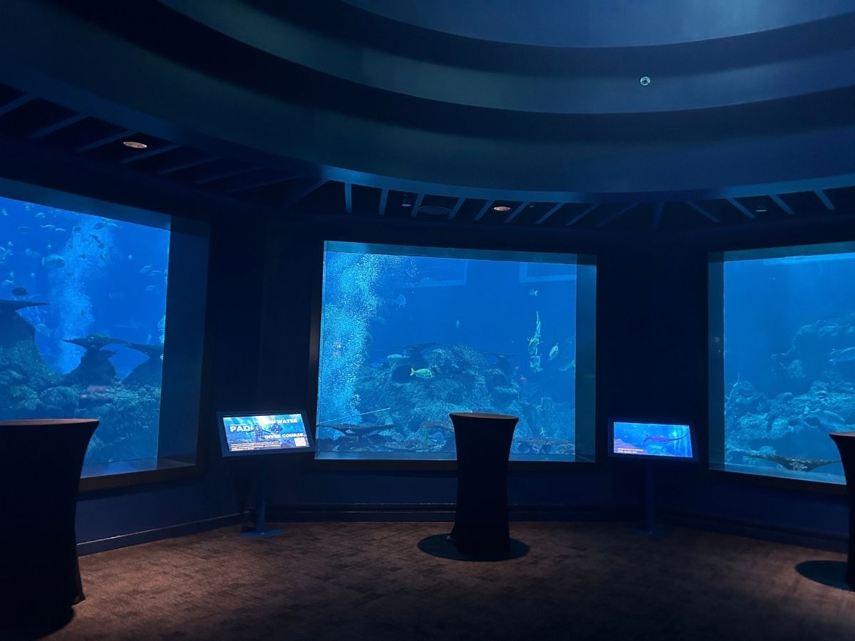 Singapore Oceanarium guide - Ocean Dome