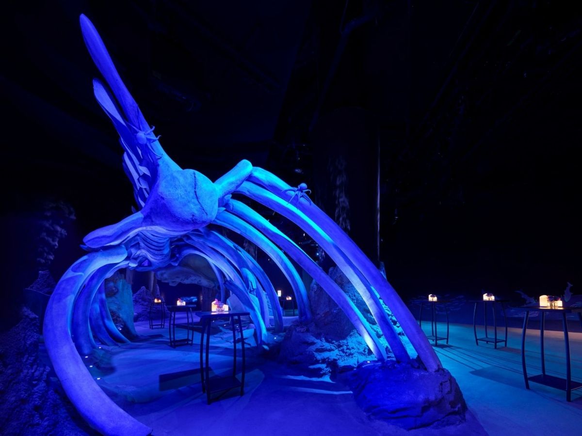 Singapore Oceanarium guide - Whale Fall and Seamount whale body