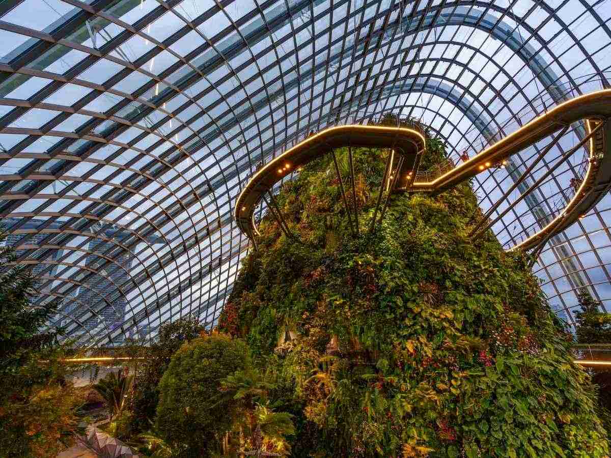 Things to do in Singapore during haze - gardens by the bay