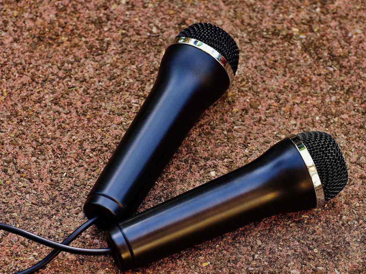 Things to do in Singapore during haze - karaoke microphones