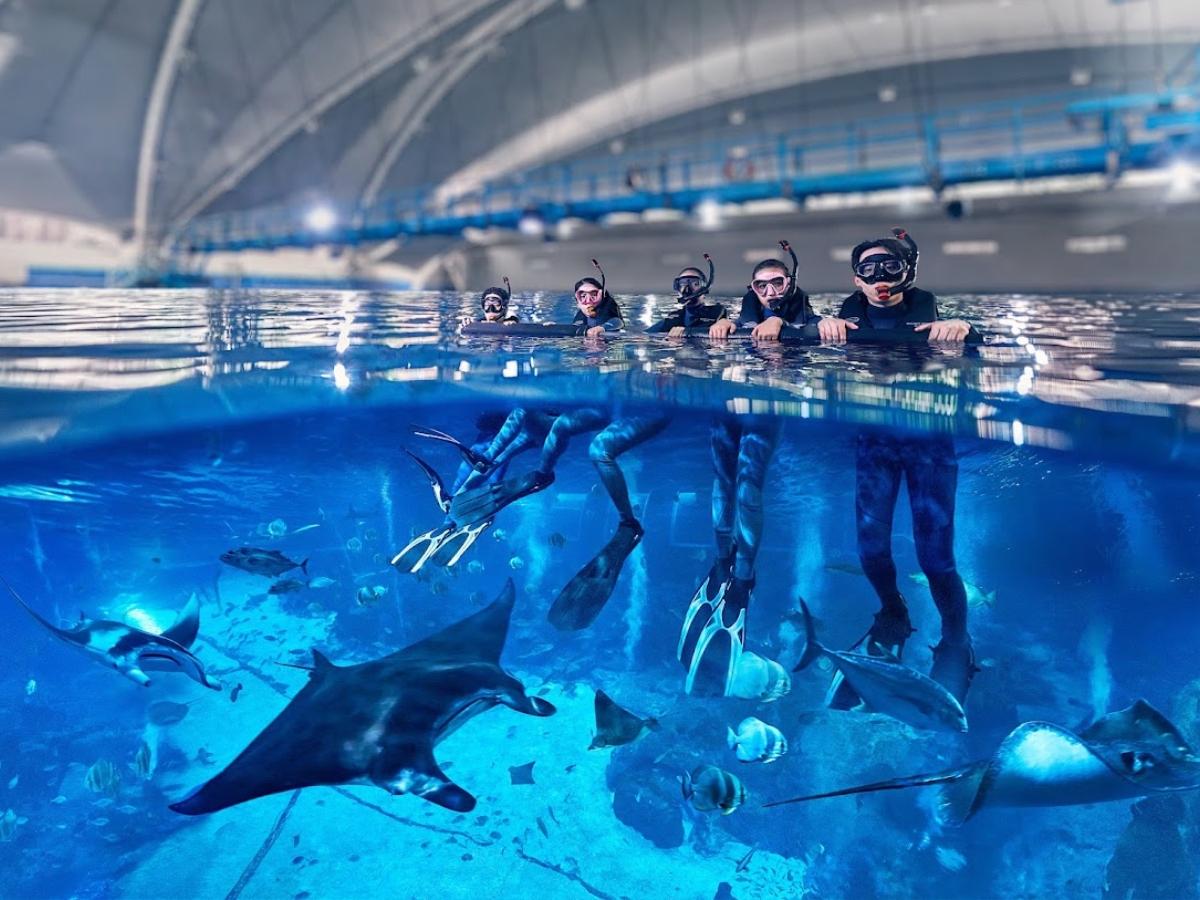 Things to do in Singapore in Nov 2026 - snorkelling