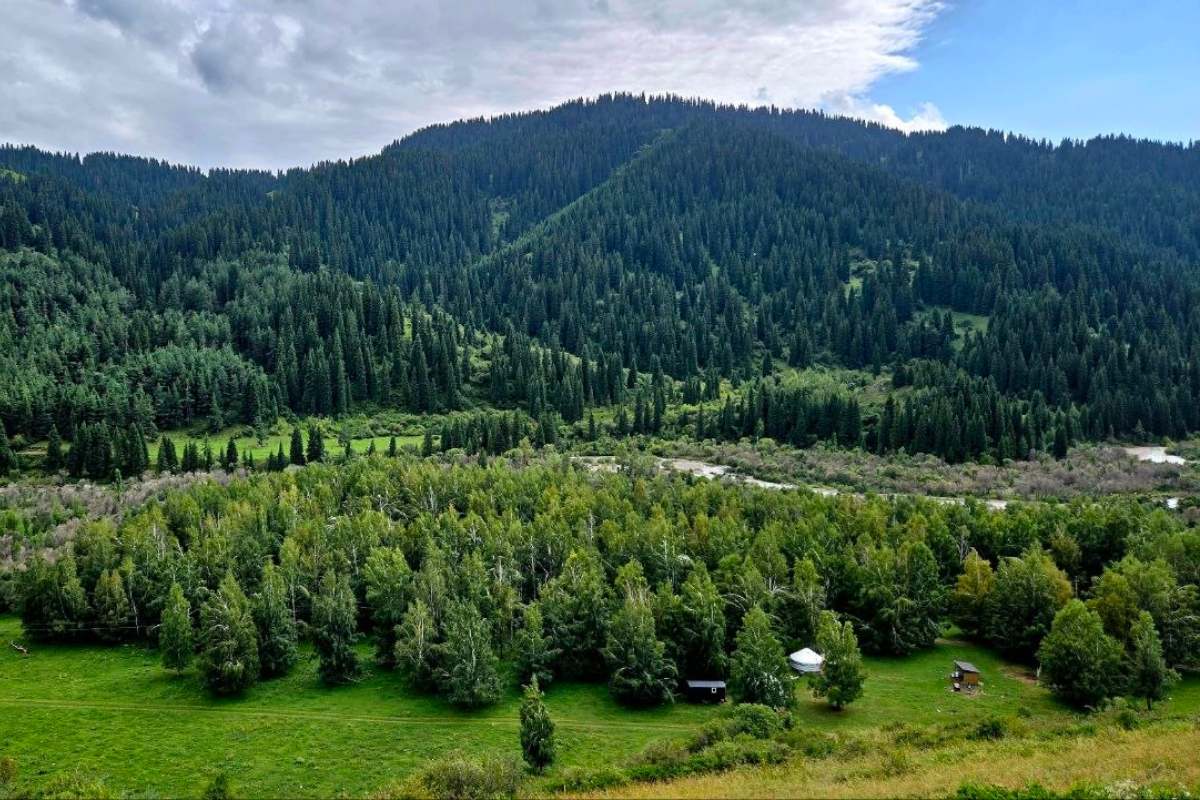 kyrgyzstan - hills and vegetation