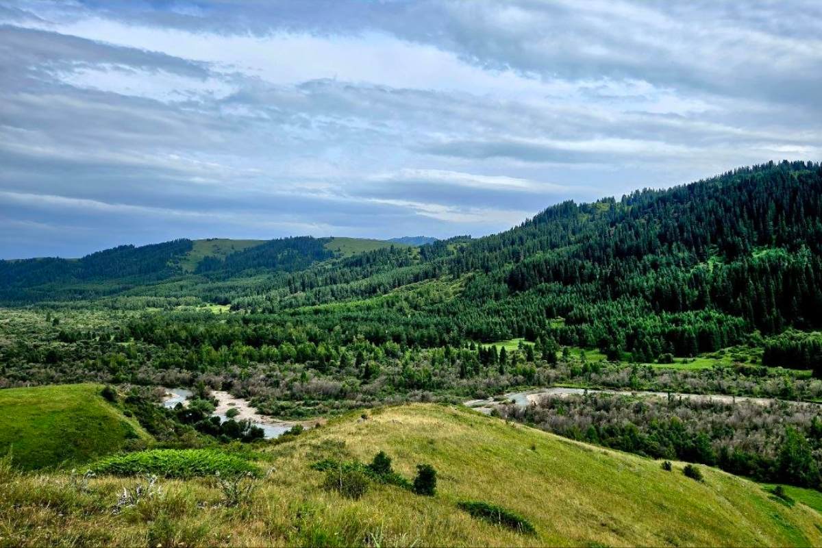 kyrgyzstan - valley