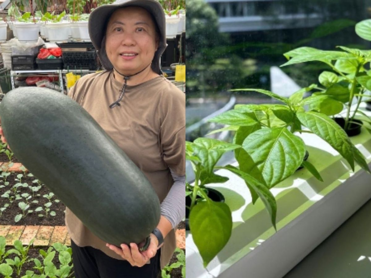 The Makers Ground 2026 - local produce brands