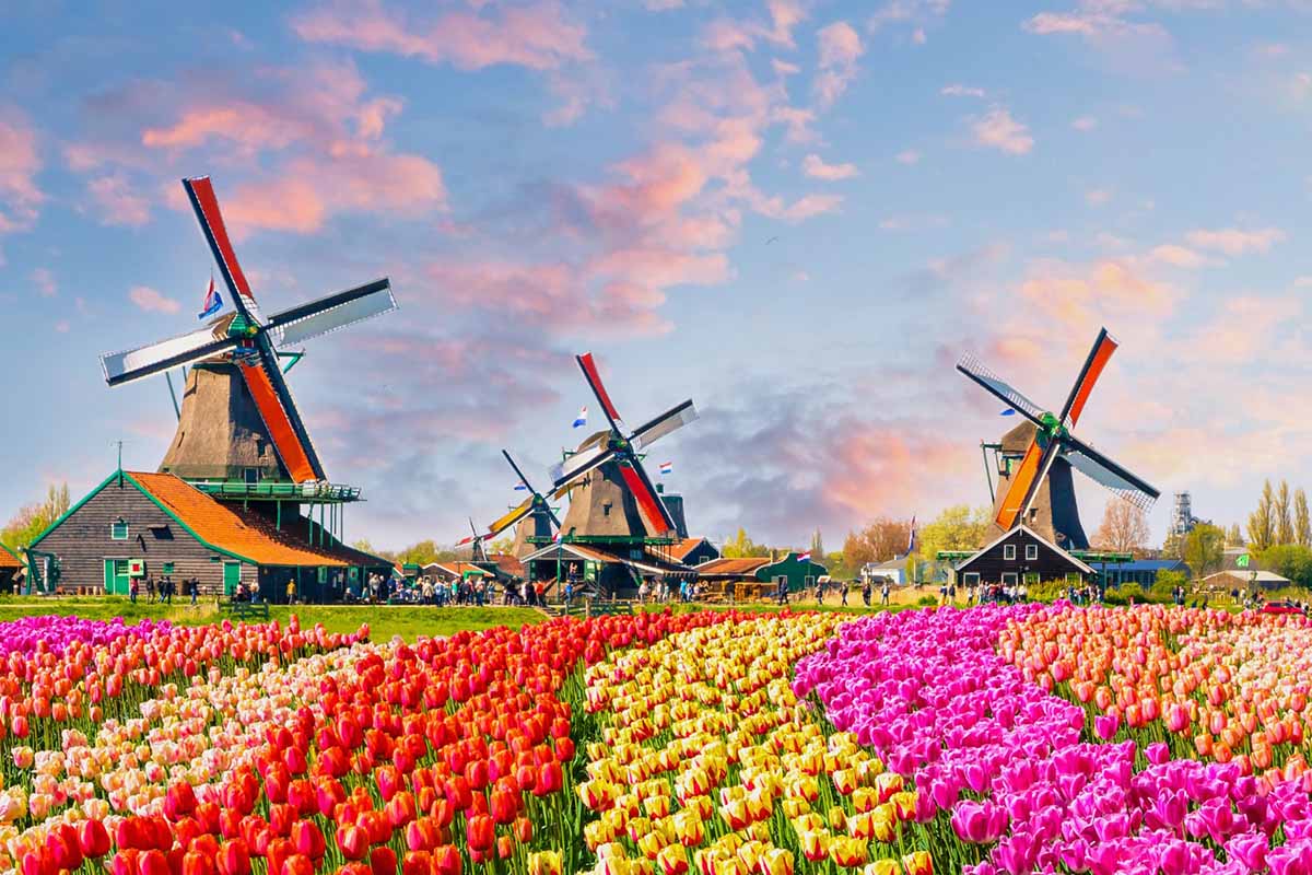 Reliance Premier Travel - Keukenhof 1