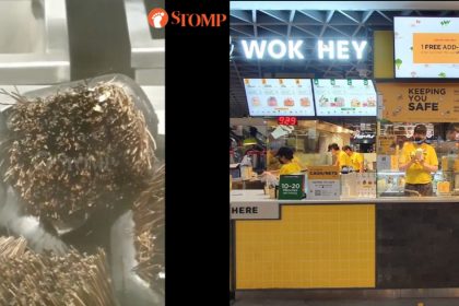 Wokhey - featured image