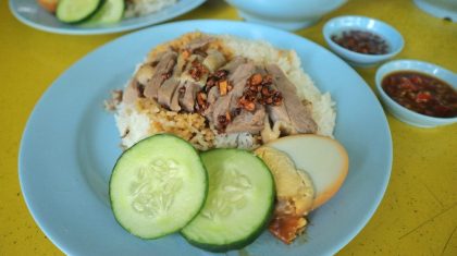 home treasure salted duck - duck rice