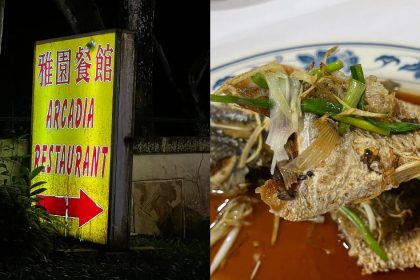 Deep fried fish and Arcadia signage