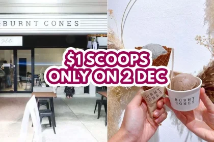 Burnt Cones promotion - feature image
