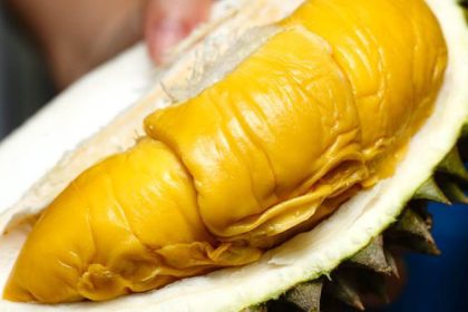 Bangi Golf Resort Durian Festival & Awards 2018 Online 6