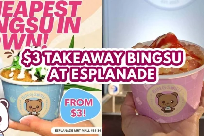 Bingsusu cheapest on the go bingsu - featured image