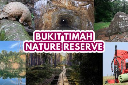 Bukit Timah Nature Reserve - Featured image