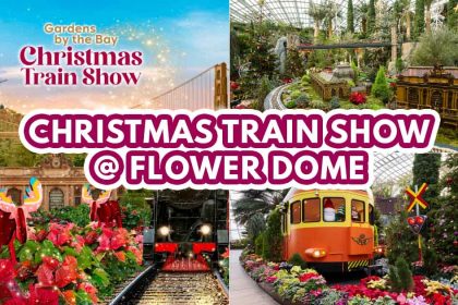 Christmas Train Show - featured image