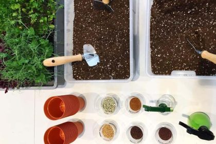 Citizenfarm(online)3 (1 Of 1)
