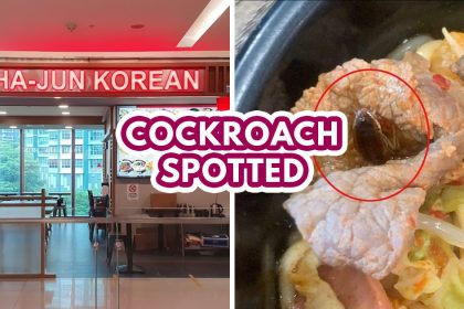 Cockroach in Korean steamboat — Featured Image