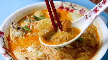 Da Po Hainanese Chicken Rice & Curry Chicken Noodles 1427