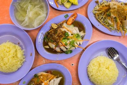Delicious Boneless Chicken Rice 6