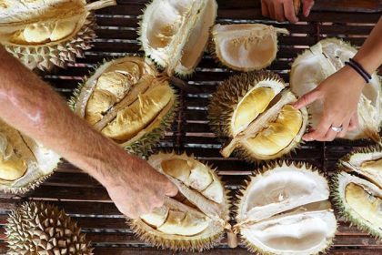 Durians & Fruits Picnic ONLINE