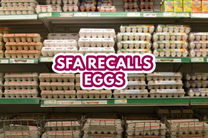 Egg feature image