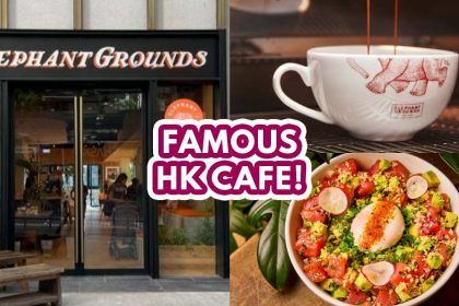 Elephant Grounds opens - featured image