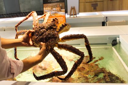 Emporium Shokuhin King Crab
