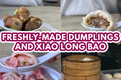 zhujiao dumplings - feature image