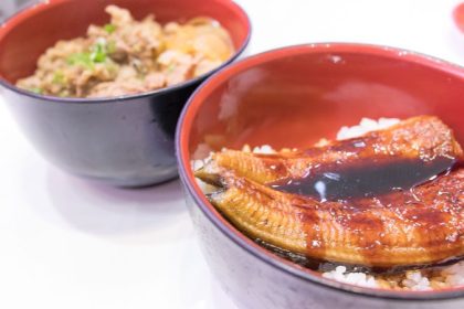 Genki 1