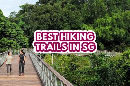best hiking trail in singapore - featured image