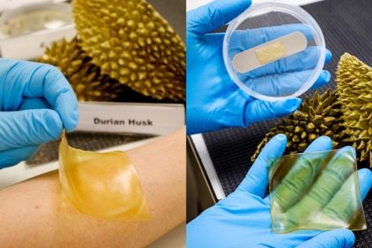 A collage of hydrogel bandage on skin and Hydrogel patch and plaster made from durian husk