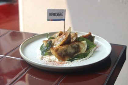 Impossible Dumplings 1