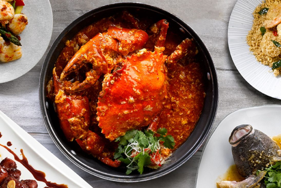 JUMBO Seafood Crab
