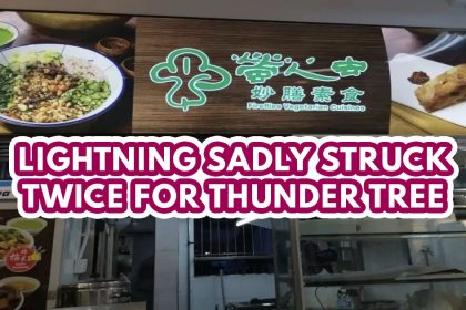 Jurong East Thunder Tree closing 1