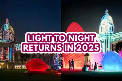 Light to Night 2025 - featured image