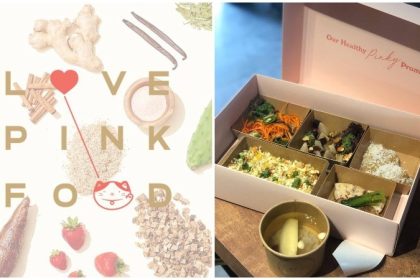 Love Pink Food Online 2