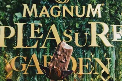 Magnum Macadamia Salted Caramel