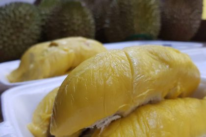 Majestic Durian Buffet 1