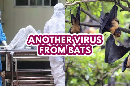 Nipah virus - featured image