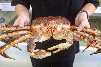 Ocean Mart 1
