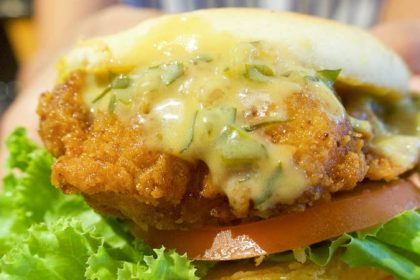 Ordinary Burger 5