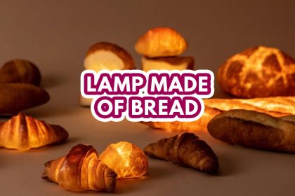 Pampshade - Featured Image