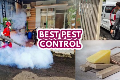 Pest Control - featured image
