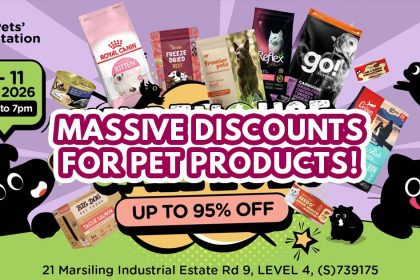 Pets Station Warehouse Sale 2026 - featured image