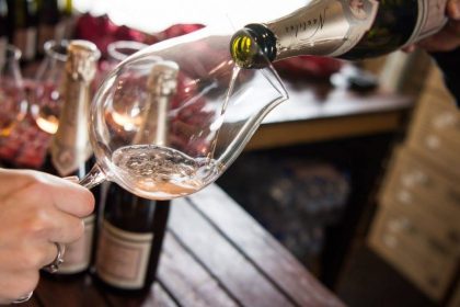 Pinot Palooza 02 ONLINE