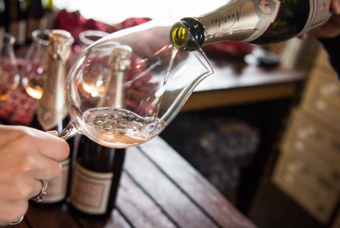 Pinot Palooza 02 ONLINE