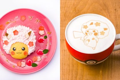 Pokemon Cherry Blossom Online 6